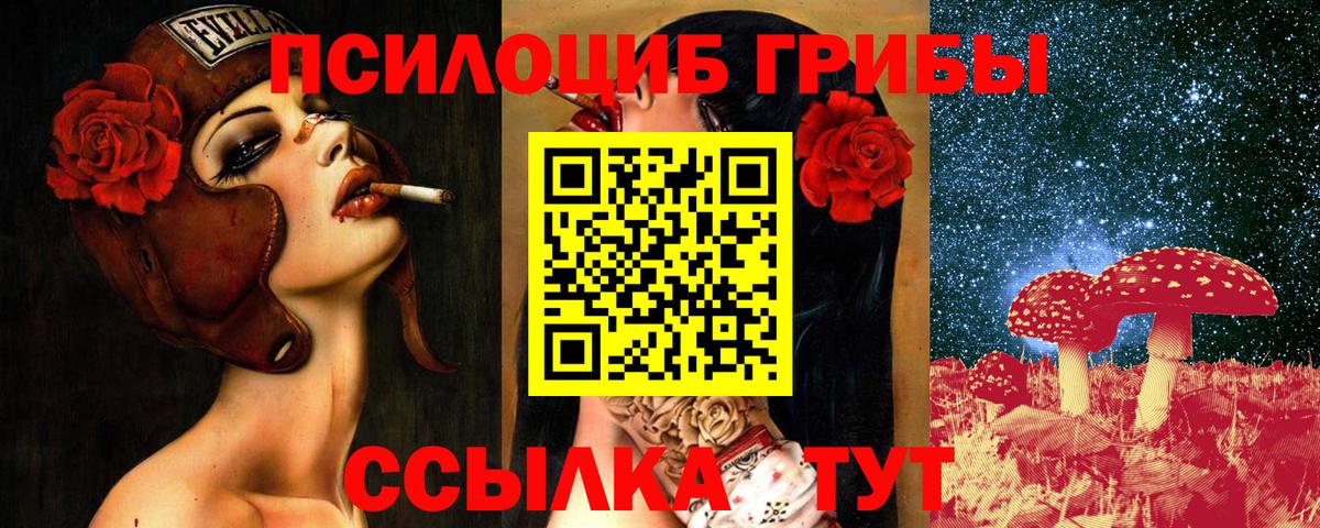 Клин  Псилоцибиновые грибы Psilocybe  Вход с VPN  Псилоцибиновые грибы Psilocybe 
